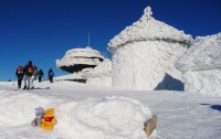 Naši medvědí zpravodajové na Sněžce 31. 12. 2008 ve 14 hodin