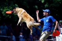 Ústecký psí festival přivítá psí mistry Evropy