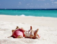 Také karibský ostrov Barbados nabízí báječné pláže